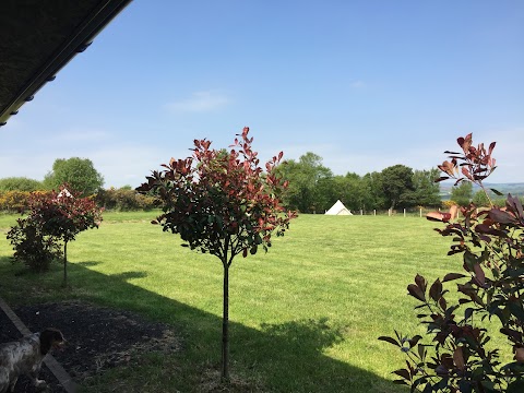 Bonnybridge Eco Camping & Glamping