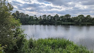 Freeth Mere SSSI nature reserve