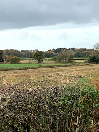 The Moss Bank