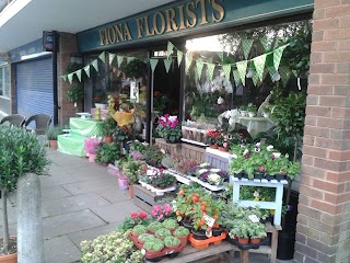 Fiona Florist