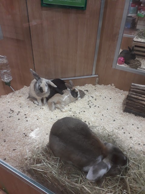 Pets at Home Bromborough