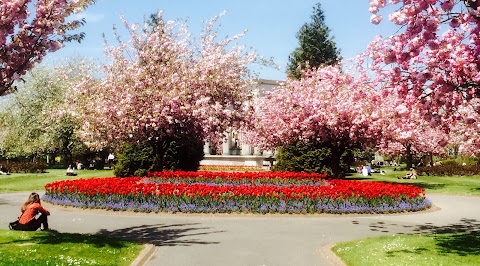 Alexandra Gardens