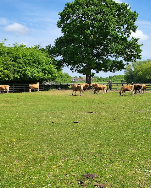 Sheldon Country Park