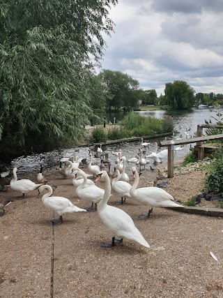 Truss's Island