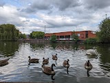 Swanswell Park & Pool