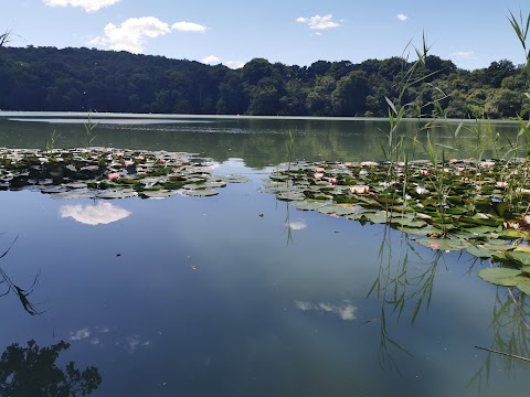 Decoy Country Park