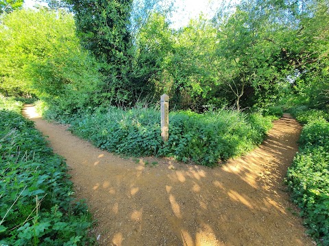 Blundells Copse