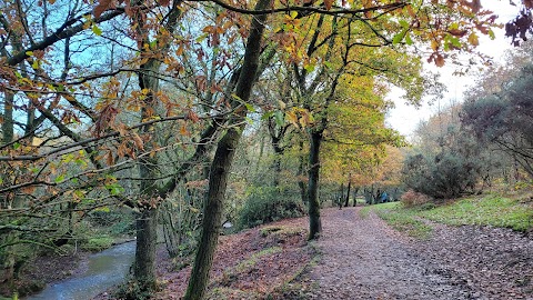 National Trust - Downs Banks