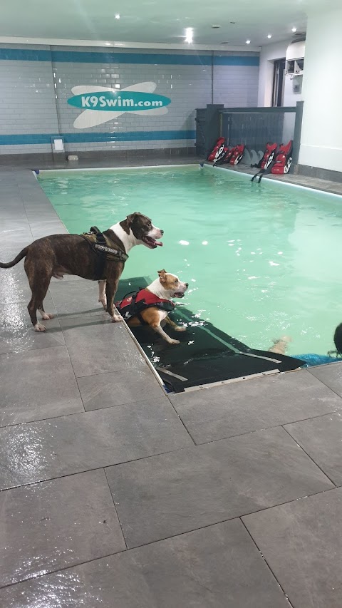 K9 Swim mcr LTD