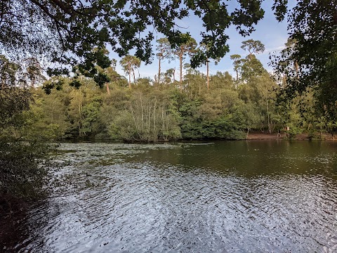 Black Park Country Park