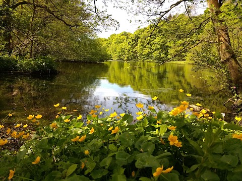 Keg Pool, Etherow