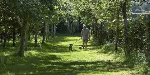 Tavistock Camping and Caravanning Club Site