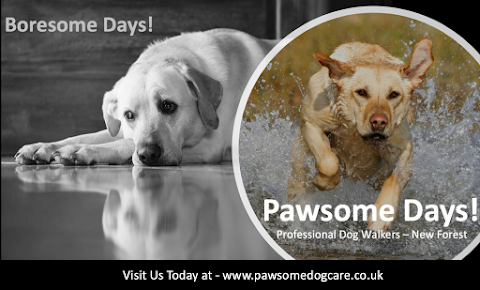 Pawsome Dog Care