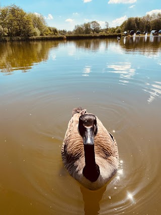 Lakeside Country Park