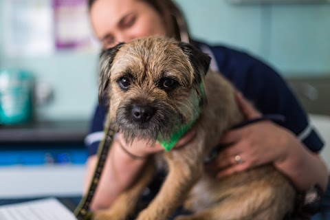 Gornal Veterinary Centre