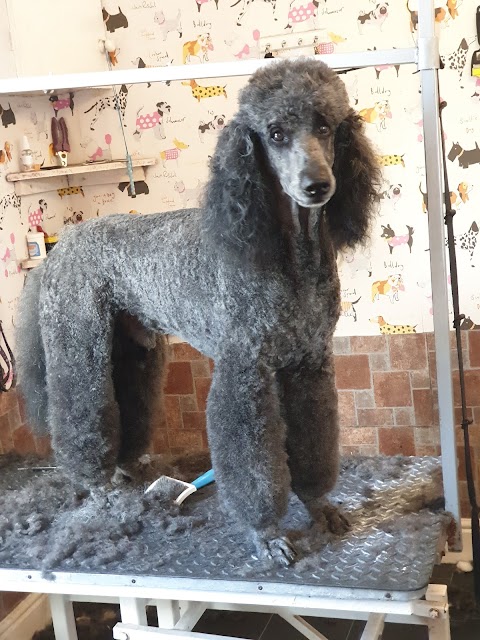 Dirty Dogs Stop & Groom Shop