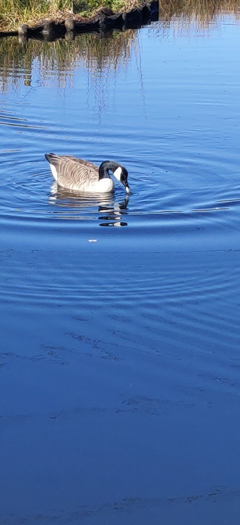 Rochdale Canal Towpath