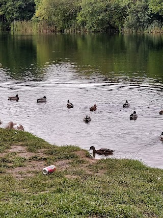 Straiton Pond Local Nature Reserve