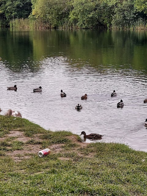 Straiton Pond Local Nature Reserve