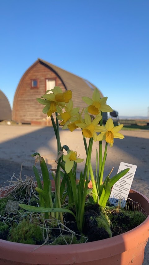 Hilly Cow Wigwams