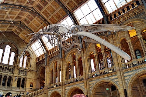 Natural History Museum