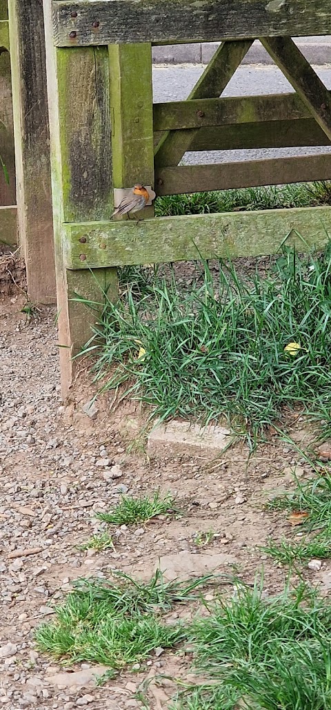 Churchtown Farm