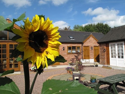 High View Cottage