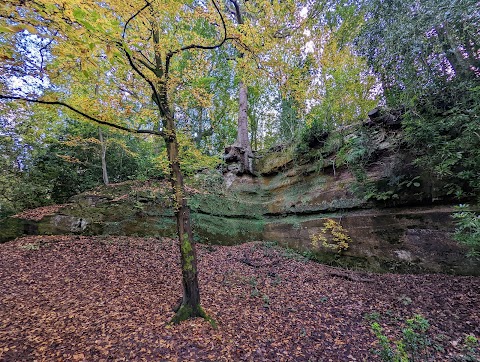 Dibbinsdale Nature Reserve