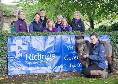 Ridings Equine Vets