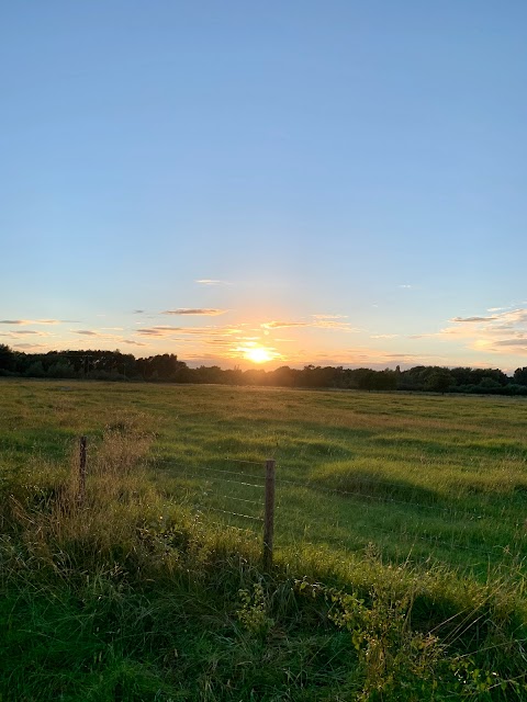 LRWT Cossington Meadows