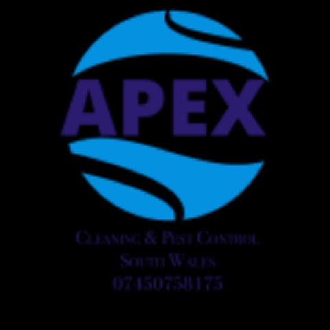 Apex group services