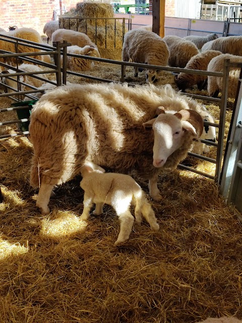 Temple Newsam Home Farm