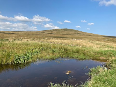 National Trust - Divis and the Black Mountain