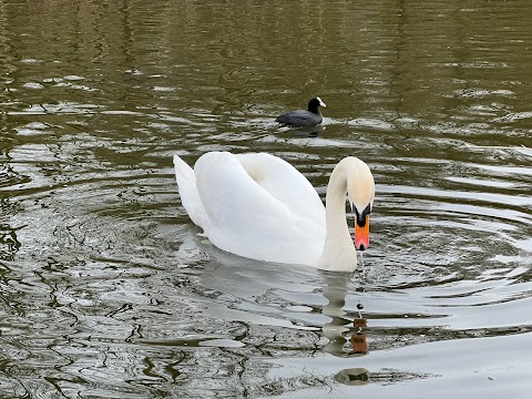 Sankey Valley Park