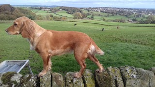 Benrevic Boarding Kennels