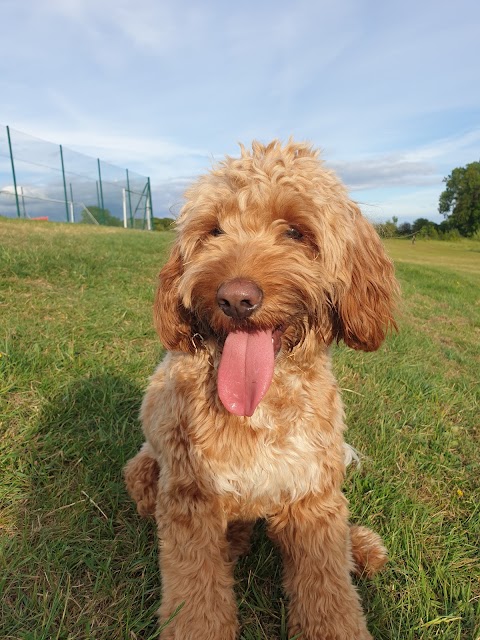 Park Veterinary Centre