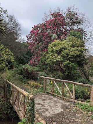 The Oaks, Park View, Belarmine Avenue, Stepaside