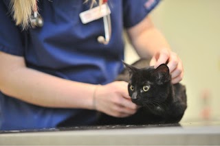 Abbeymoor Veterinary Centres