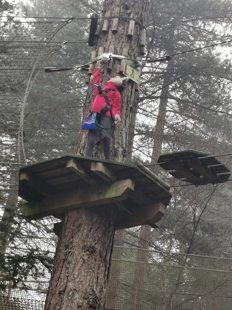 Go Ape Sherwood - Nets Adventure