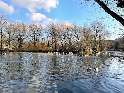 Alexandra Park & Palace