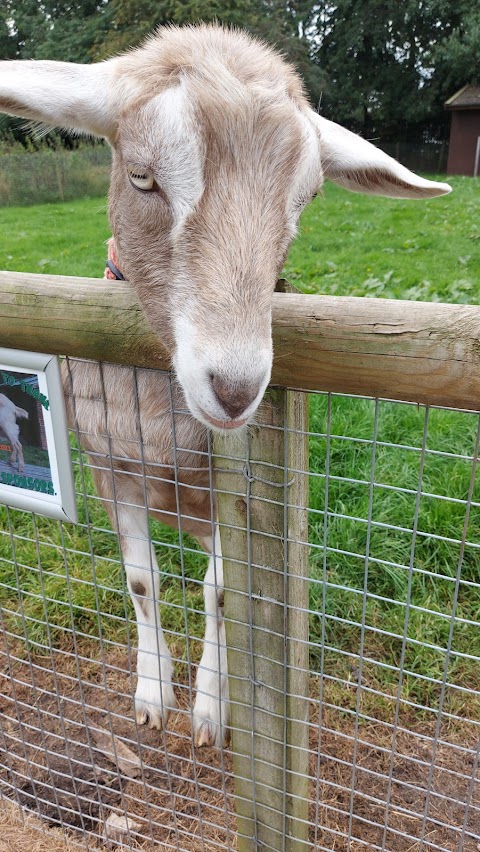 Acorn Farm