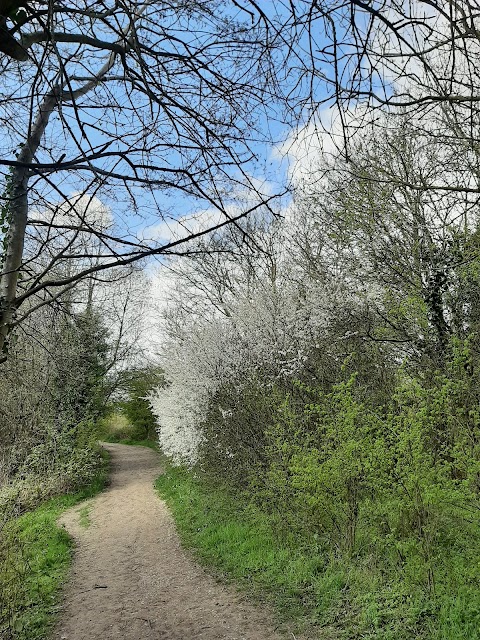 Hosehill Lake