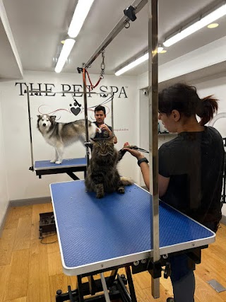 The Pet Spa