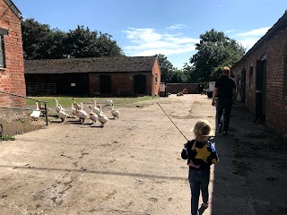 Home Farm Attingham