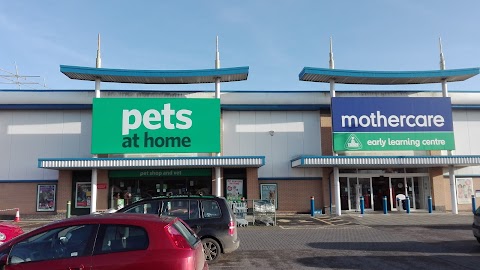 Pets at Home Salisbury