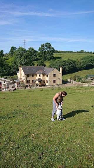 Hope Mountain Bed & Breakfast