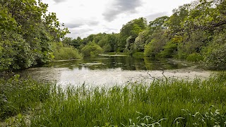 Blackford Pond