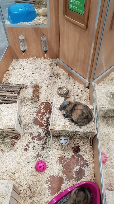 Pets at Home Kettering