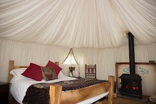 Plush Tents Yurt Village