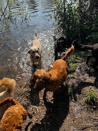 Bertie and friends